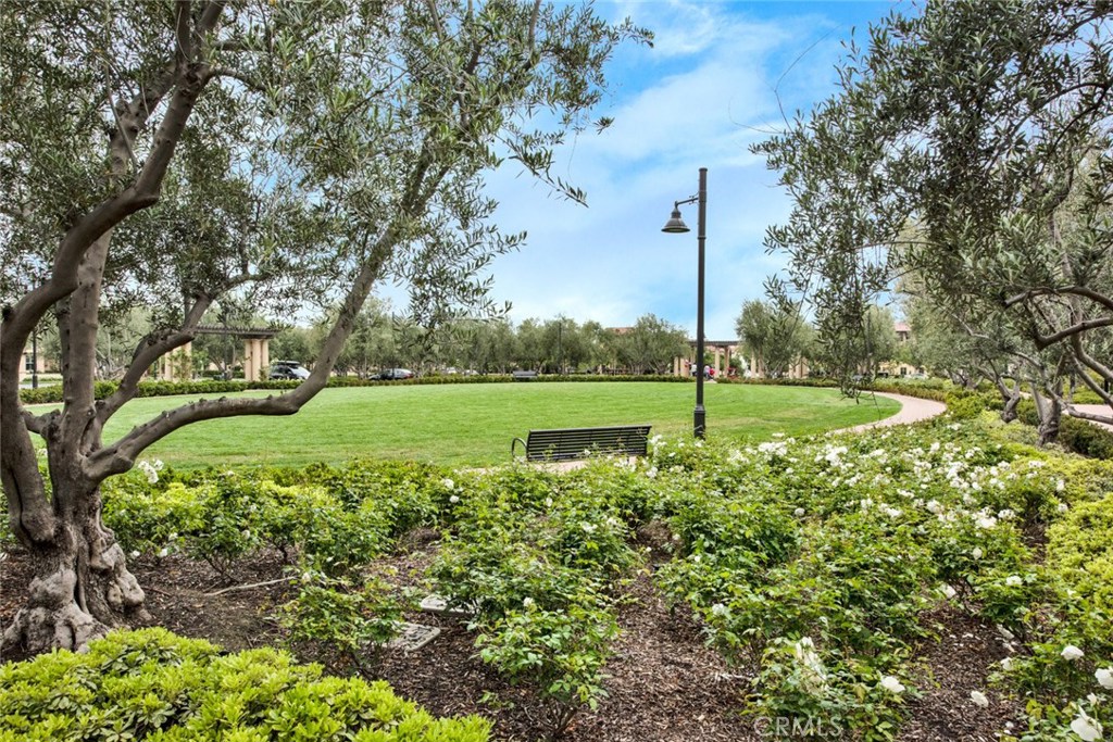 CASERTA (CVCAS) - Residential Lease