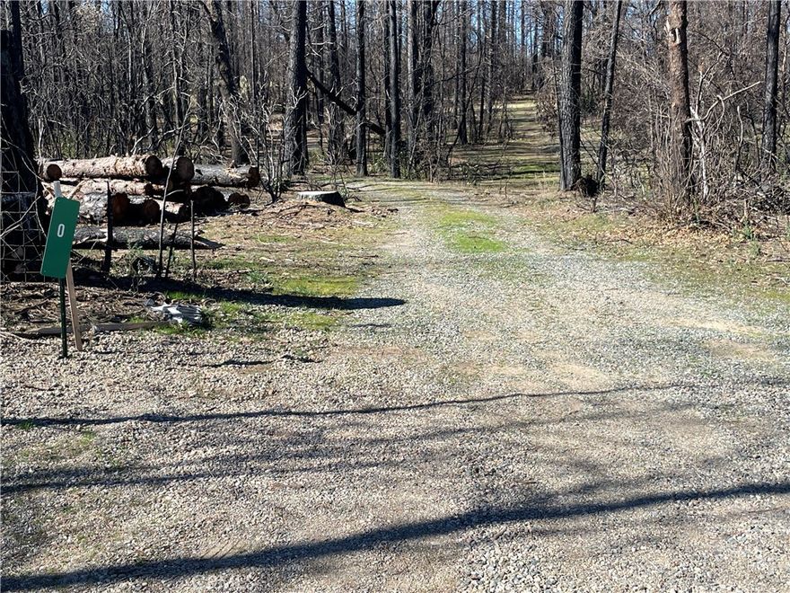 Discover this beautiful 3-acre parcel nestled in the heart of Berry Creek. The property already features a well and septic system, with power conveniently located at the street—a perfect head start for your future home.  Surrounded by natural beauty and outdoor adventure, this area offers endless recreational opportunities. Spend your days swimming or fishing in the nearby rivers, or take advantage of the boat launch at Lake Oroville just minutes away for a day on the water.  Whether you're looking to build your dream home or a peaceful vacation retreat, this property provides the ideal setting. Be a part of the Berry Creek community as it continues to grow and rebuild stronger than ever.  Come experience the serenity and potential this land has to offer—your next chapter starts here!  Owner may carry.