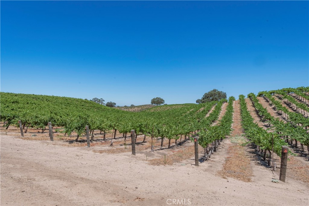 Creston(60) - Residential