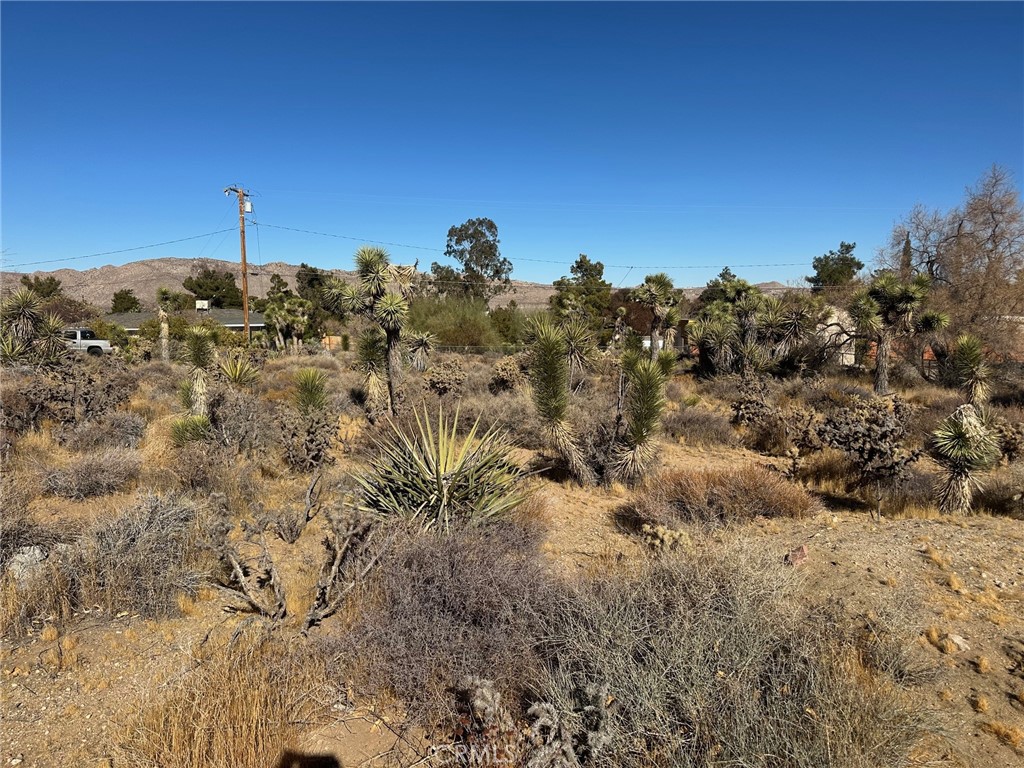 56434 Desert Gold Drive