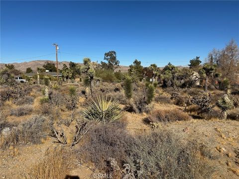 Photo of 56434 Desert Gold Drive, Yucca Valley, CA 92284 (MLS # JT25009563)
