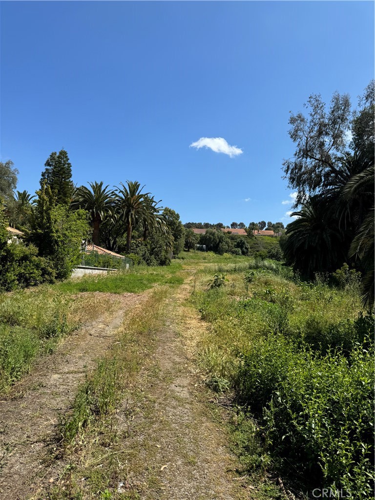 441 S Peralta Hills Drive