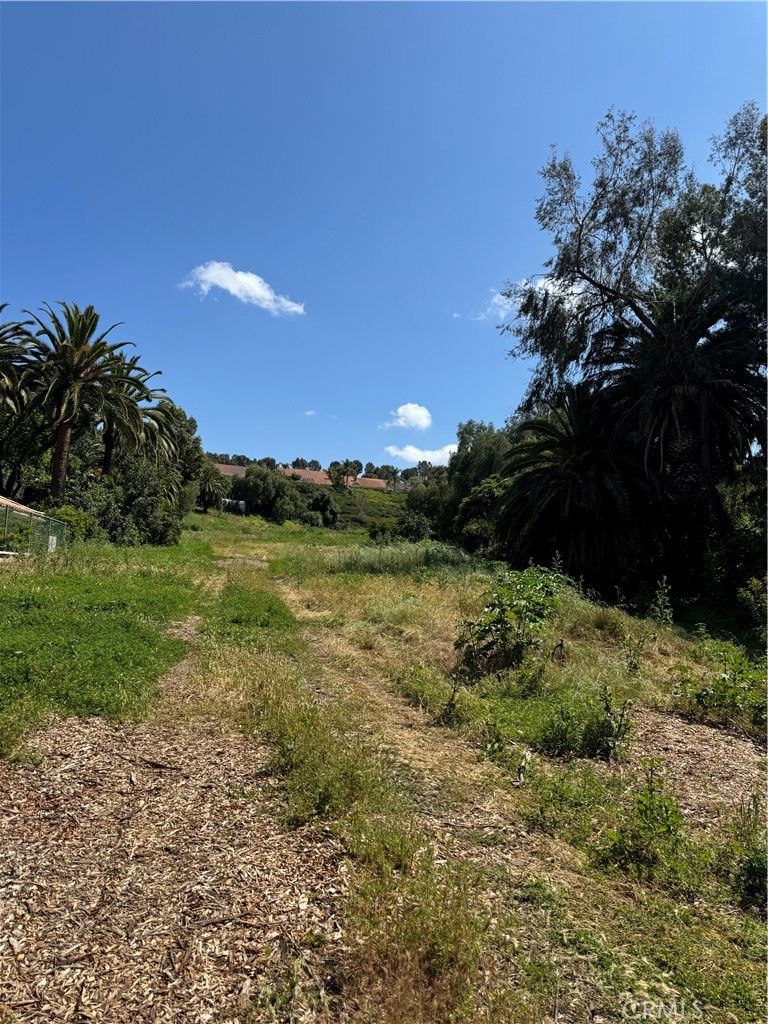 441 S Peralta Hills Drive