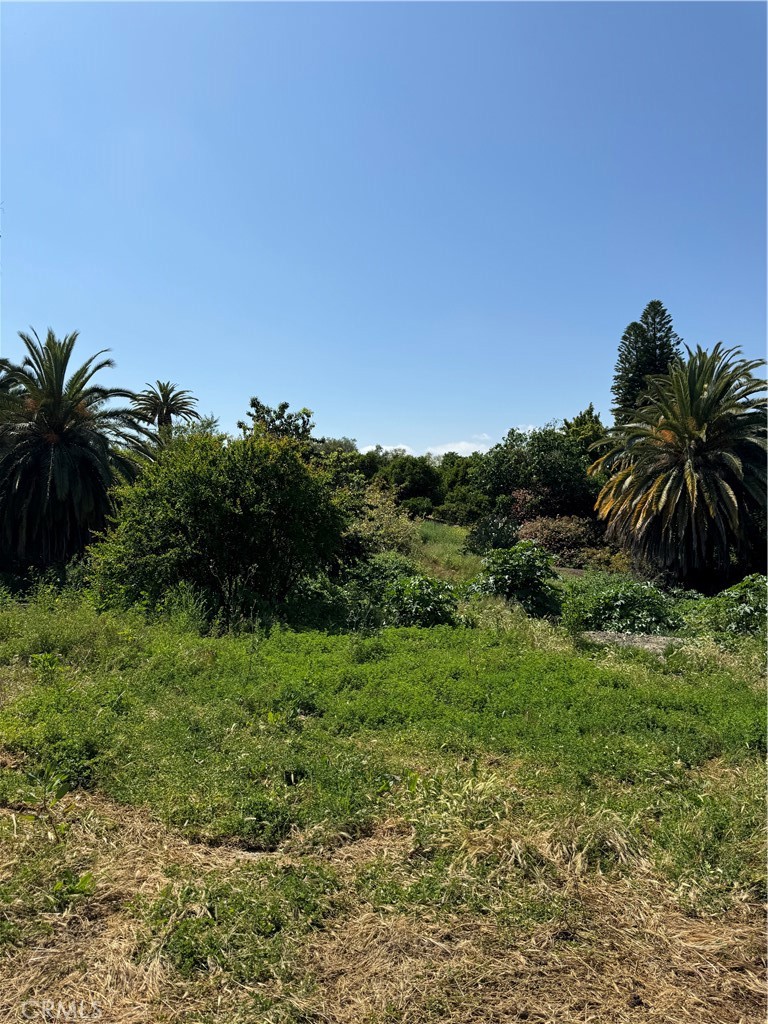 441 S Peralta Hills Drive
