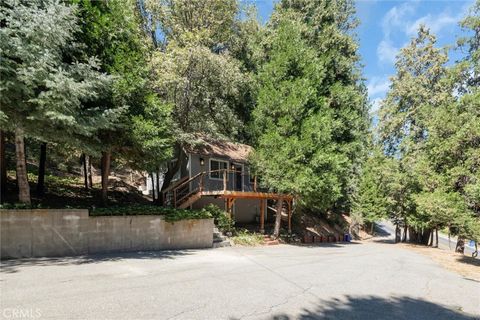 A home in Cedar Glen