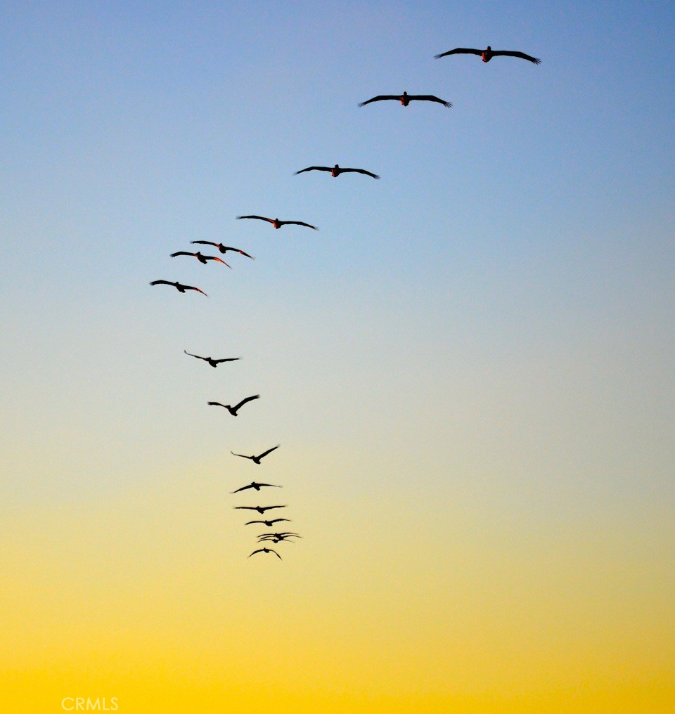 Monarch Bay (MB) - Residential