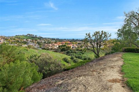 A home in Laguna Niguel