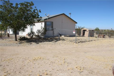 A home in Joshua Tree