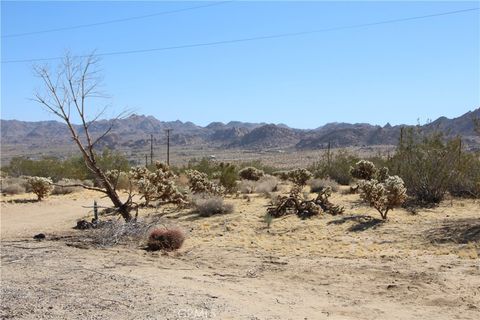 A home in Joshua Tree