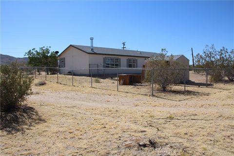 A home in Joshua Tree