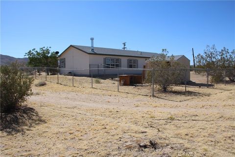 A home in Joshua Tree