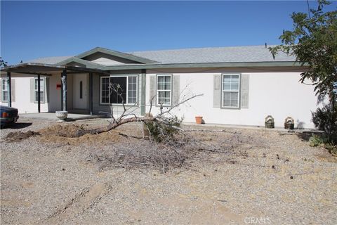 A home in Joshua Tree