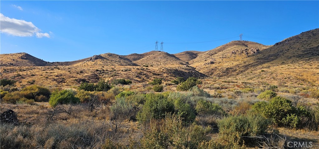 Custom Acton (CACTO) - Land