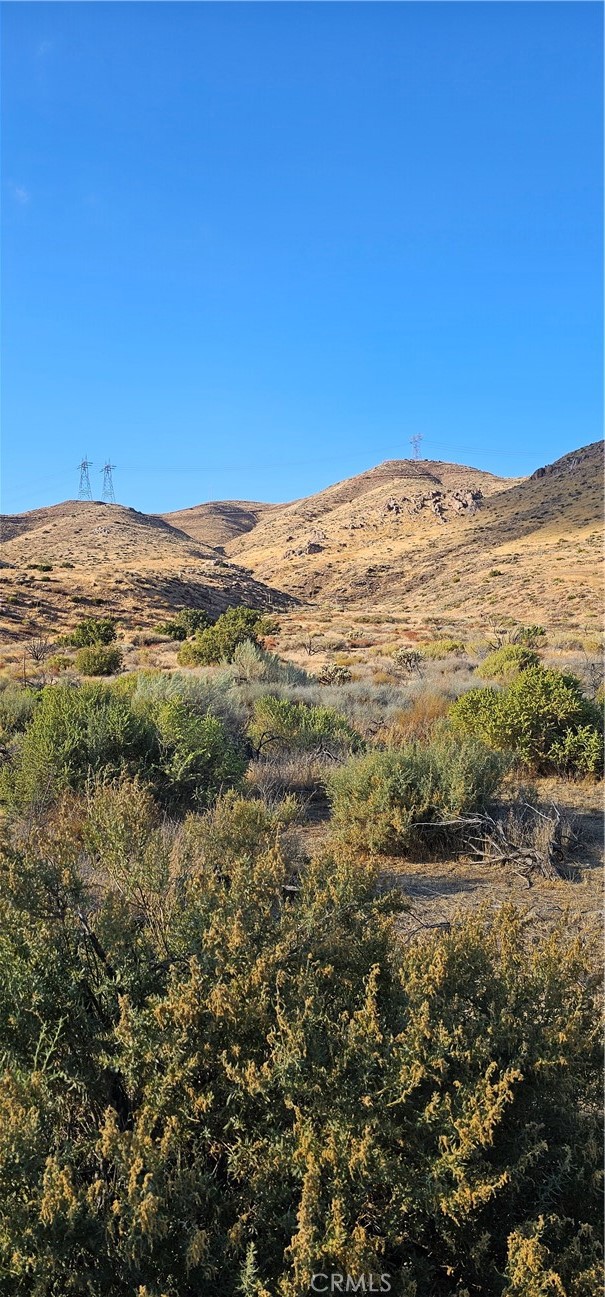 Custom Acton (CACTO) - Land