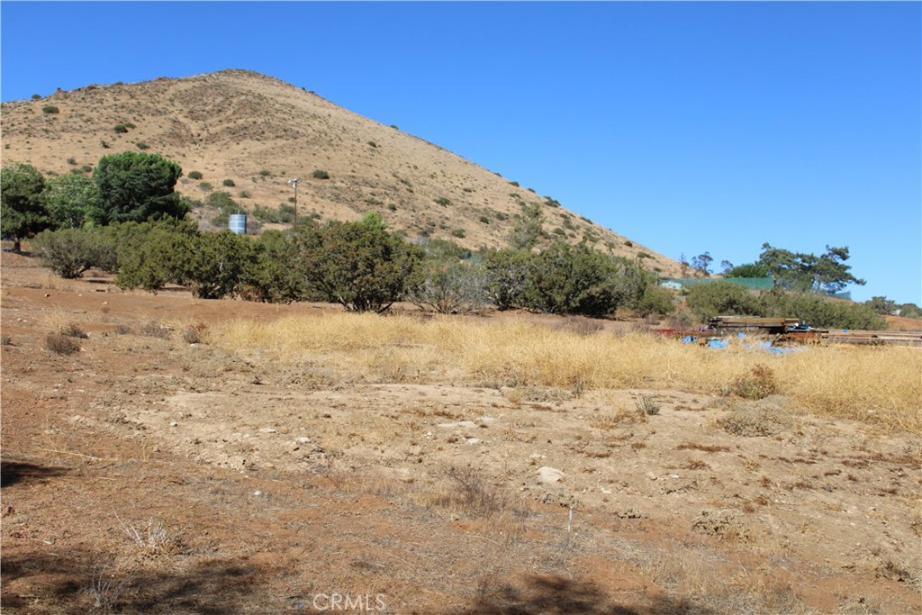 Custom Acton (CACTO) - Land