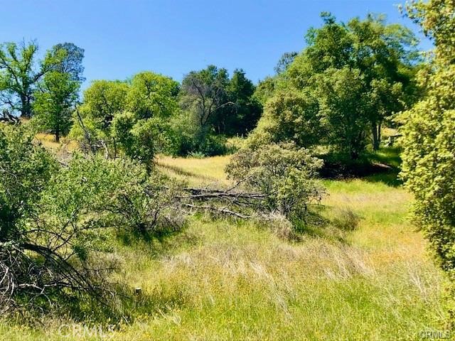 Beautiful views on this 3.4 acre parcel! Power at the street and water hook up available. Enjoy all the amenities the HOA has to offer such as restaurants, a swimming pool, golf coarse, equestrian center, tennis court and hiking trails! Short drive to Bass Lake, Yosemite and Fresno. All you need to bring is your building plans!
