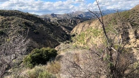 Photo of 0 Burlwood Drive, Castaic, CA 91384 (MLS # SW24140958)