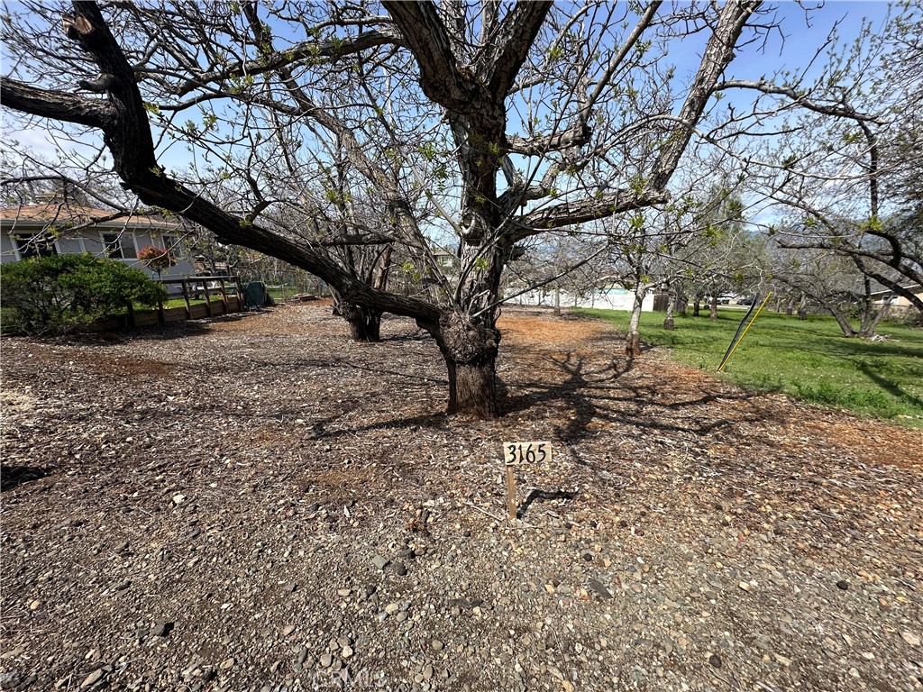 Prime Vacant Lot. Imagine building your dream home on this beautiful vacant lot with lake views! Nestled in a sought-after community, this property offers more than just a place to live—it’s a lifestyle. Whether you enjoy serene mornings by the water, or thrilling outdoor adventures, this location has it all. HOA Amenities: Enjoy exclusive access to luxurious community amenities, including:Sparkling Pool: Dive into the community pool for a refreshing swim or lounge poolside under the sun. Clubhouse: A perfect spot for social gatherings, events, and community activities with friends and neighbors. Marina: Boat lovers will rejoice with direct access to a private marina—ideal for weekend getaways or leisurely water activities. Hiking Trails: Step outside and explore scenic trails right at your doorstep, offering miles of adventure and breathtaking nature views.
This lot offers the perfect blend of convenience, comfort, and outdoor beauty. Build the home of your dreams in a vibrant community with all the amenities you need to enjoy the best of lake living.