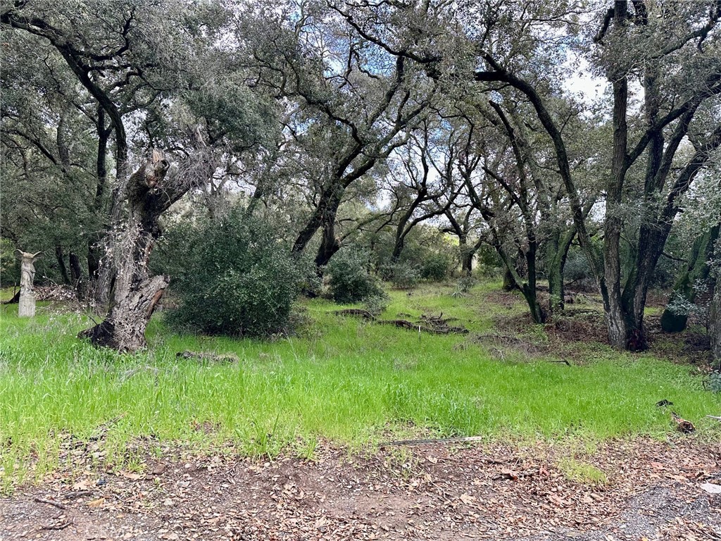 19334 Live Oak Canyon