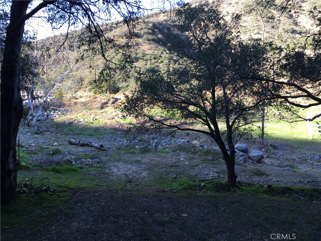 Photo 23 of 32 of 28082 Williams Canyon land