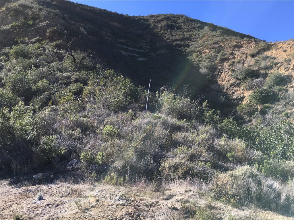 Photo 18 of 32 of 28082 Williams Canyon land