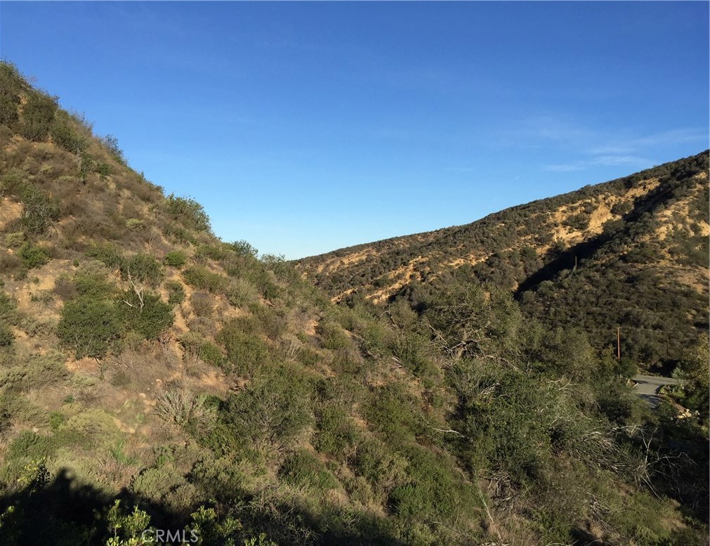 Photo 14 of 32 of 28082 Williams Canyon land