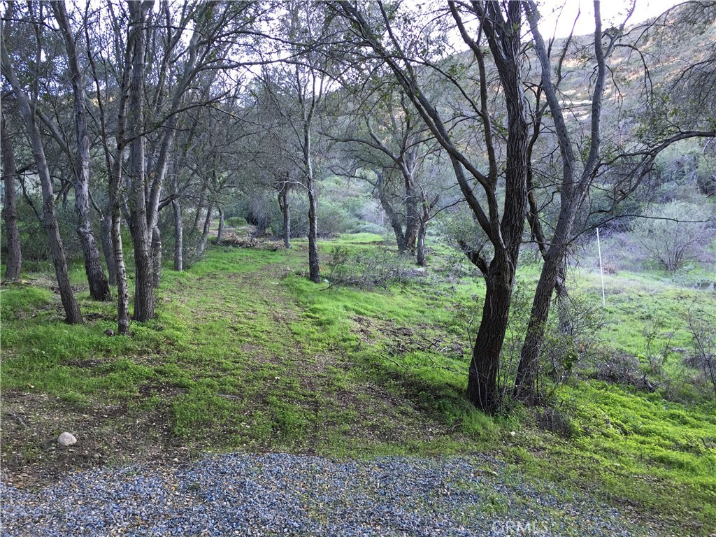 Photo 12 of 32 of 28082 Williams Canyon land