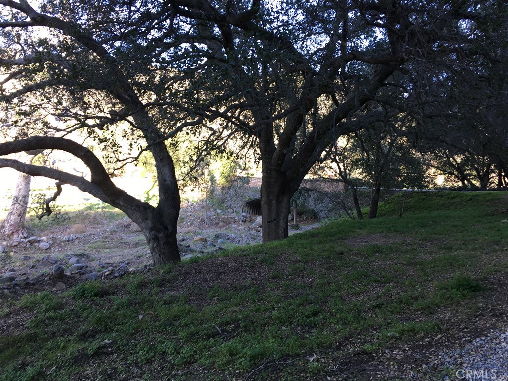 Photo 22 of 32 of 28082 Williams Canyon land