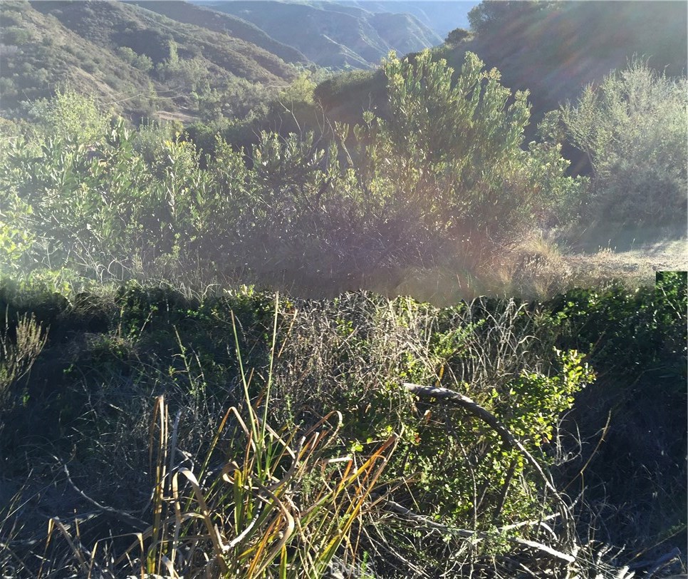 Photo 19 of 32 of 28082 Williams Canyon land