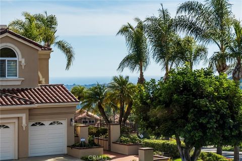 A home in Laguna Niguel