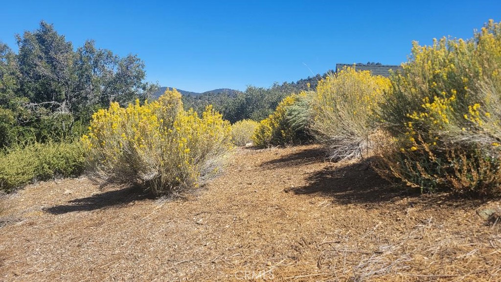 If you're looking for privacy and mountain views, this lot is perfect. Besides the spectacular view the price includes drafted plans for a 3-bedroom, 3-bathroom home, totaling 1,366 sq ft as well as the proposals for additional reports. This lot is located in the Pine Mountain Club Property Owners Association, with benefits like street maintenance, snow removal, and access to amenities such as a golf course, equestrian center, and the clubhouse.