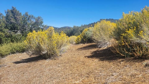 Photo of 1806 Zermatt Dr, Pine Mountain Club, CA 93222 (MLS # SR24200950)
