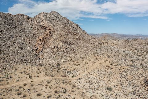 A home in Joshua Tree