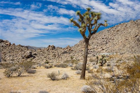 A home in Joshua Tree