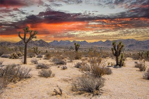 A home in Joshua Tree