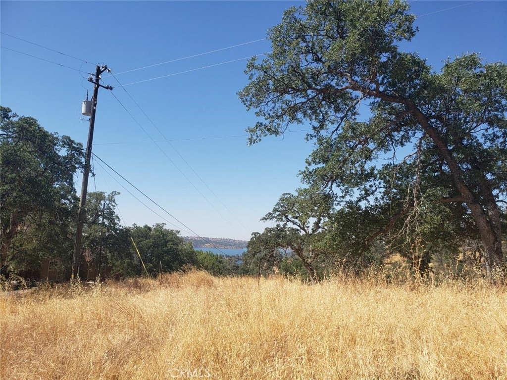 View La Grange, CA 95329 land