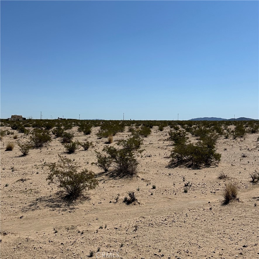 1234 El Paseo