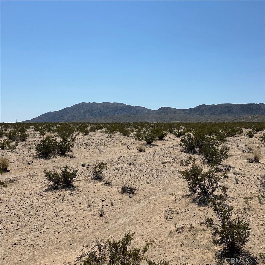 1234 El Paseo