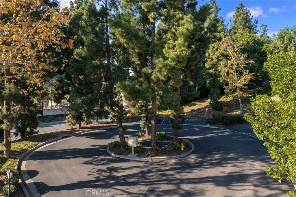 listing image 50