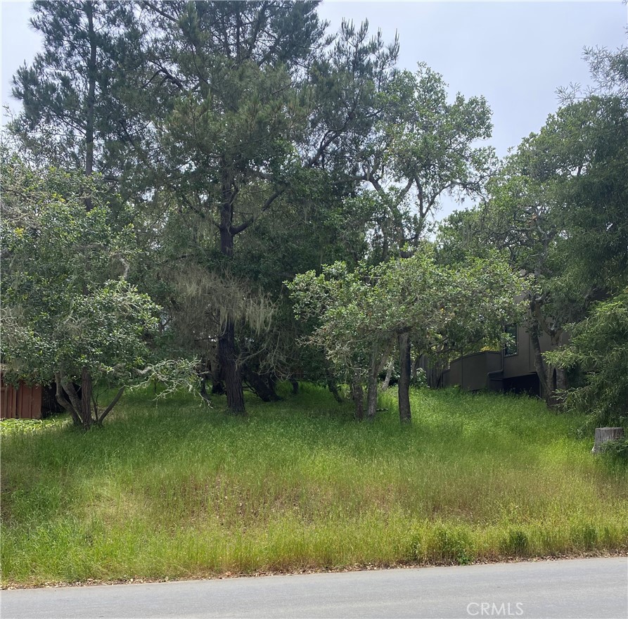 Gentle sloping vacant lot. No water position. Transfer your water wait list position or grandfathered water rights to this tree-studded lot. Call your local Realtor for more info.