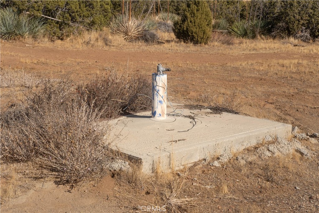 Custom Acton (CACTO) - Land