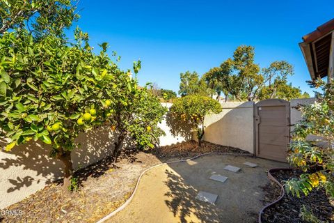 A home in Santa Paula