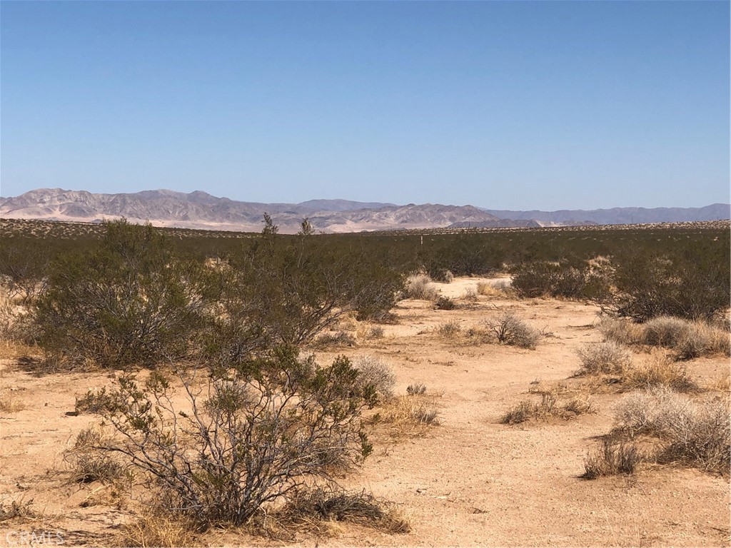 2.5 acres bordered by government land to the North. Homes in the area. Utilities close by - buyer to verify. Owner may carry. Does not appear to have an established road to access. APN: 0632-241-26-0000 GPS: (34.2491291, -116.2396632)