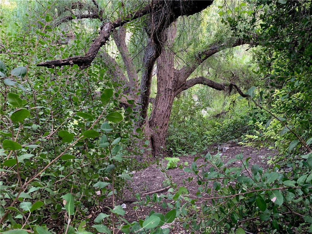 listing image 67