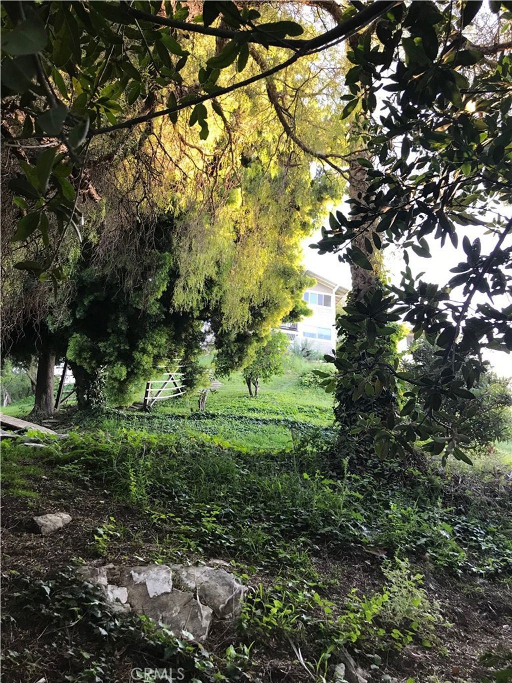 listing image 62
