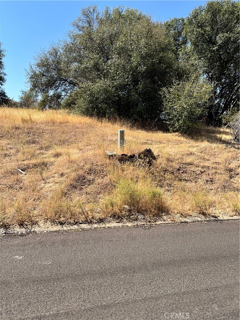 Build your dream home! Beautiful 3.74 acre parcel in Coarsegold, CA. Property has utilities close by. Gentle sweeping lot.