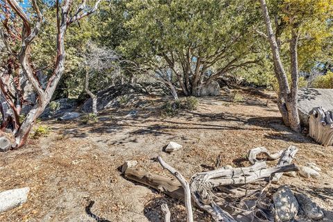 A home in Idyllwild