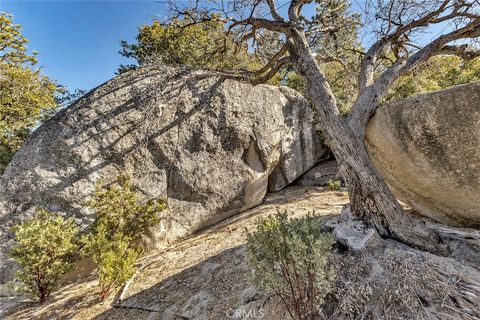 A home in Idyllwild