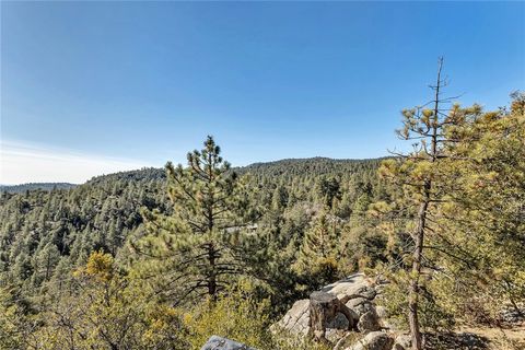 A home in Idyllwild