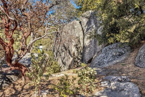 A home in Idyllwild